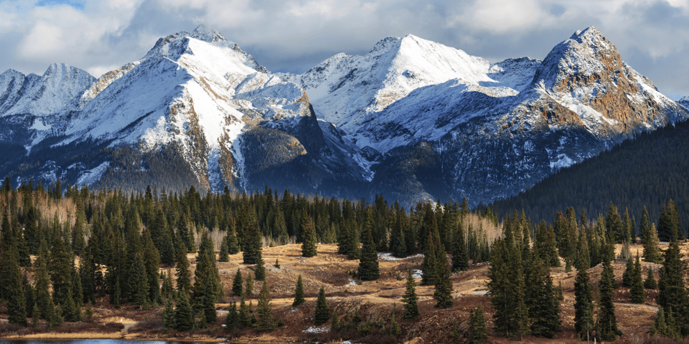 banner-image