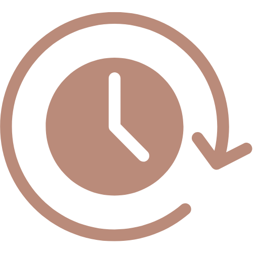 efficiency icon