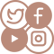 Organic & Paid Social